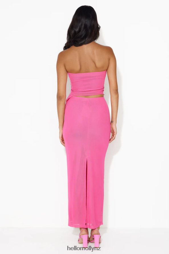 Hello Molly Pictures Please Mesh Maxi Skirt Pink PBN8869519 Clothing