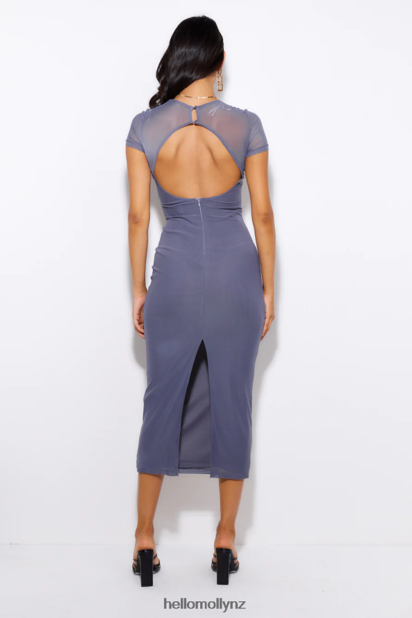 Hello Molly Bright To Dark Mesh Maxi Dress Grey PBN8865776 Clothing