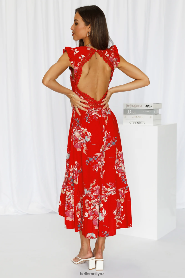 Hello Molly Harbour Side Fun Maxi Dress Red PBN8866787 Clothing