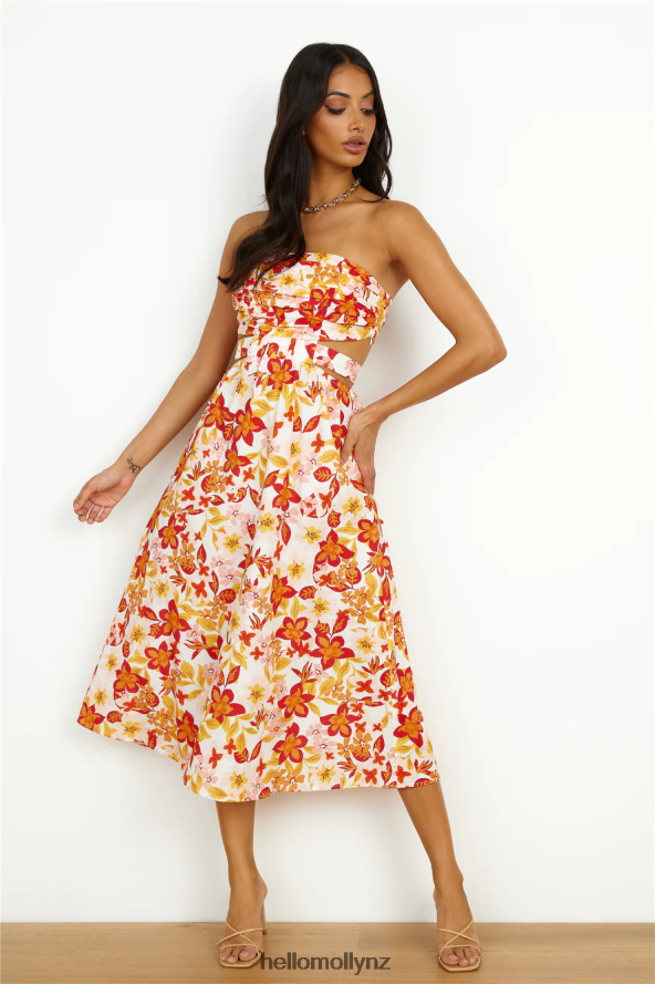 Hello Molly More Cookies Baby Maxi Dress Floral PBN8864962 Clothing