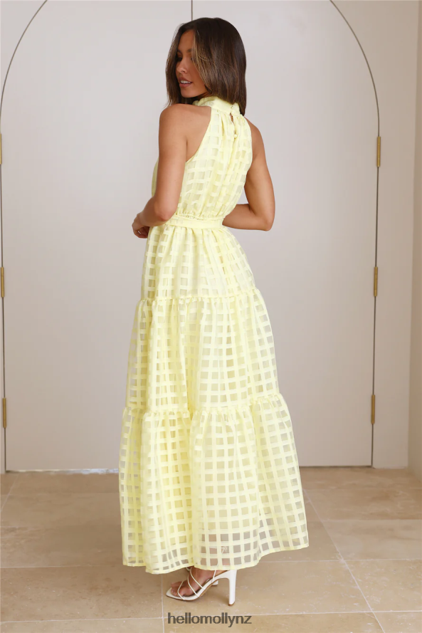 Hello Molly Summertime Picnic Maxi Dress Lemon PBN8865863 Clothing