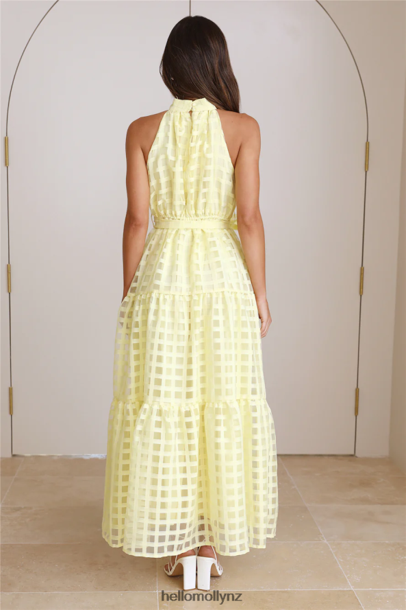 Hello Molly Summertime Picnic Maxi Dress Lemon PBN8865863 Clothing