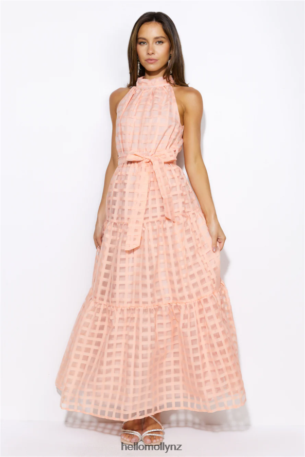 Hello Molly Summertime Picnic Maxi Dress Peach PBN8865835 Clothing