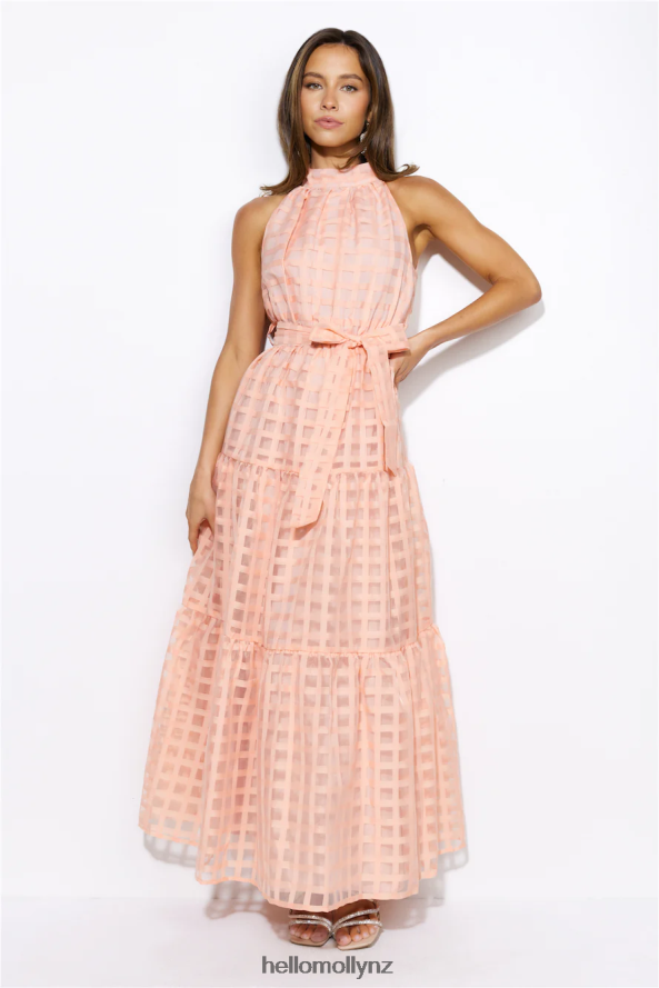 Hello Molly Summertime Picnic Maxi Dress Peach PBN8865835 Clothing