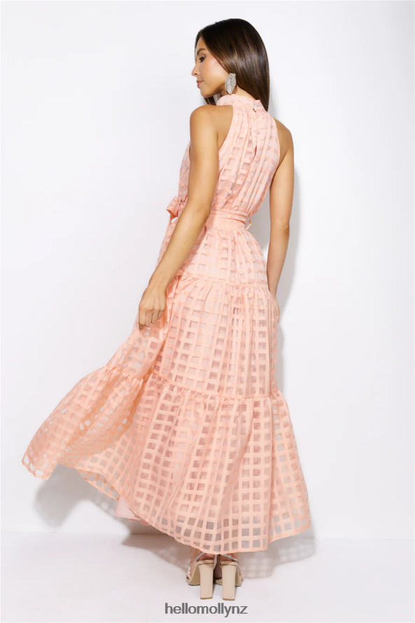 Hello Molly Summertime Picnic Maxi Dress Peach PBN8865835 Clothing