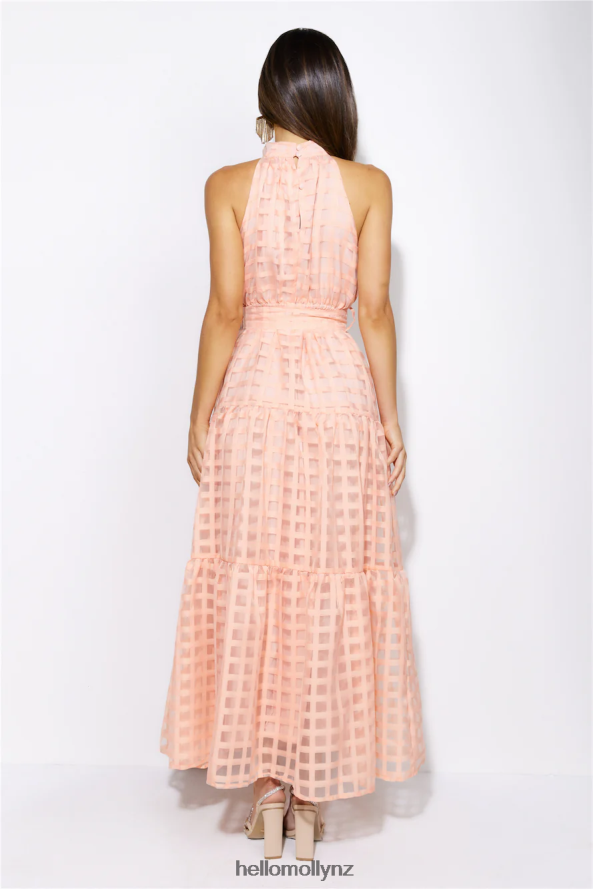Hello Molly Summertime Picnic Maxi Dress Peach PBN8865835 Clothing