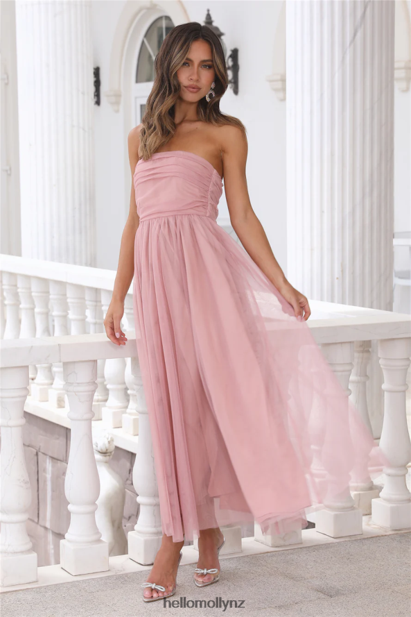 Hello Molly Walk In Tulle Maxi Dress Pink PBN8866144 Clothing