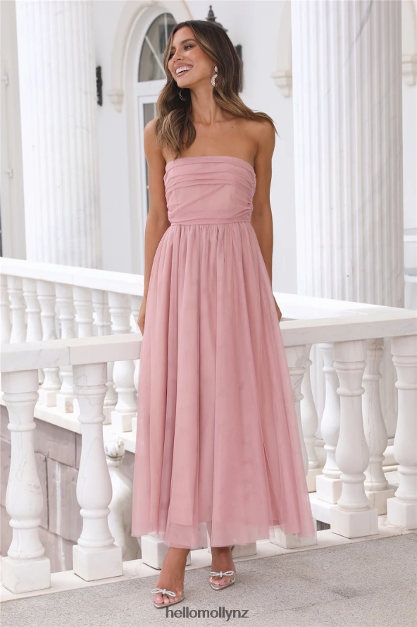 Hello Molly Walk In Tulle Maxi Dress Pink PBN8866144 Clothing