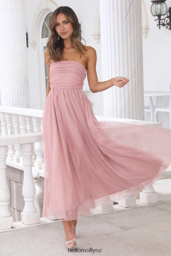 Hello Molly Walk In Tulle Maxi Dress Pink PBN8866144 Clothing