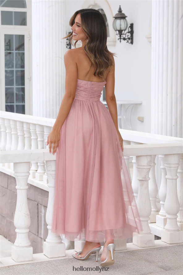 Hello Molly Walk In Tulle Maxi Dress Pink PBN8866144 Clothing
