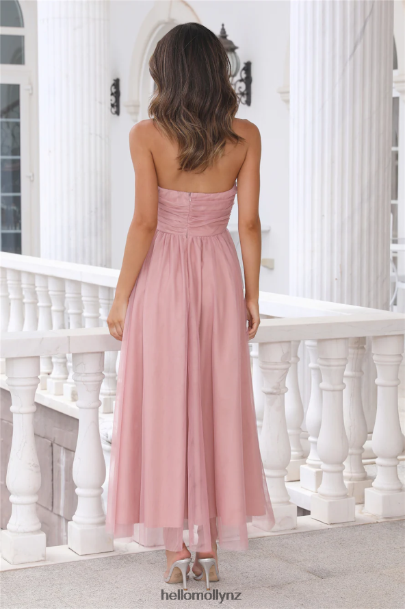 Hello Molly Walk In Tulle Maxi Dress Pink PBN8866144 Clothing