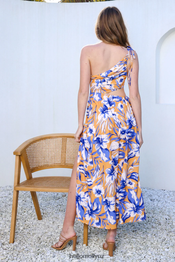 Hello Molly Low Down Midi Dress Floral PBN8865033 Clothing