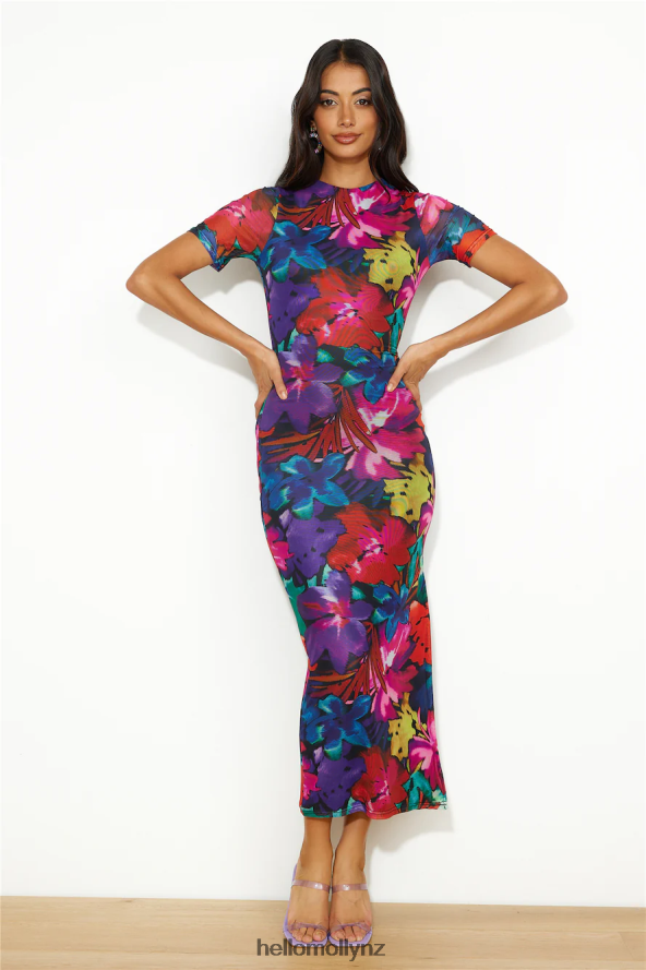 Hello Molly RUNAWAY Romance Midi Mesh Dress Black Floral PBN8864544 Clothing