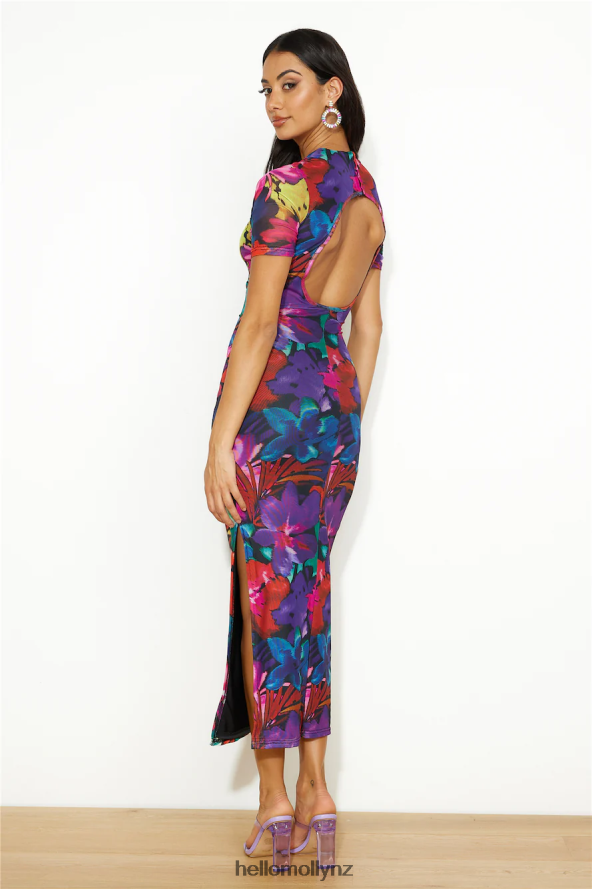 Hello Molly RUNAWAY Romance Midi Mesh Dress Black Floral PBN8864544 Clothing