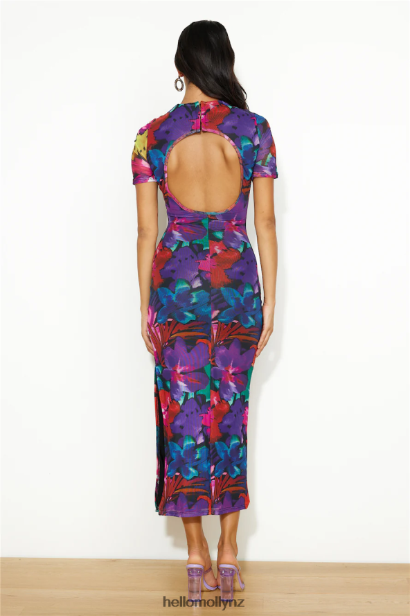 Hello Molly RUNAWAY Romance Midi Mesh Dress Black Floral PBN8864544 Clothing