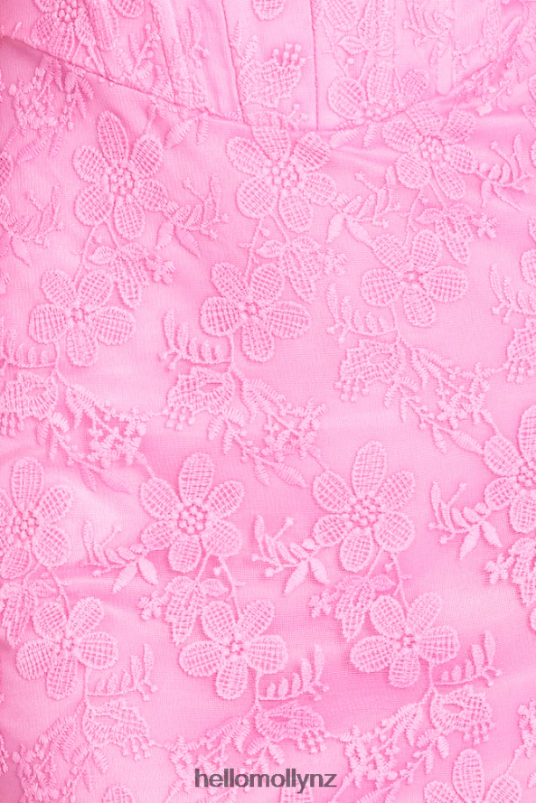 Hello Molly Luxe Castle Lace Mini Dress Pink PBN8862048 Clothing
