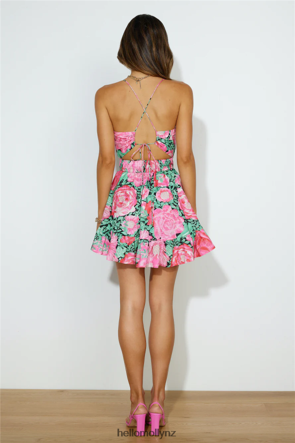 Hello Molly Picnic Catch Up Mini Dress Pink PBN8862355 Clothing